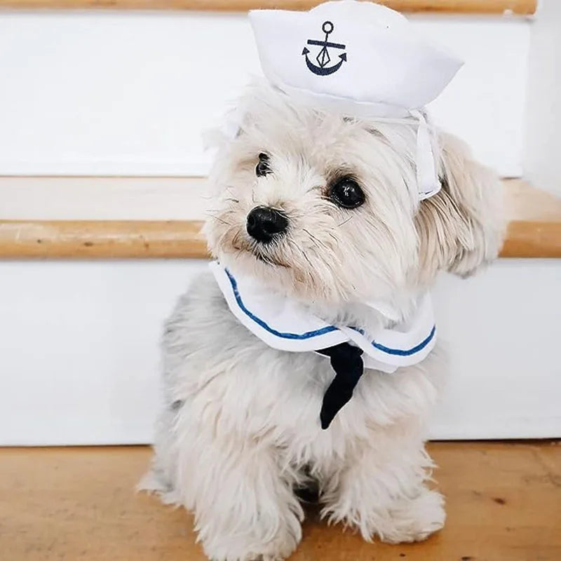 Funny Pet Cat Costumes Small Dog *SHIP FROM UK *