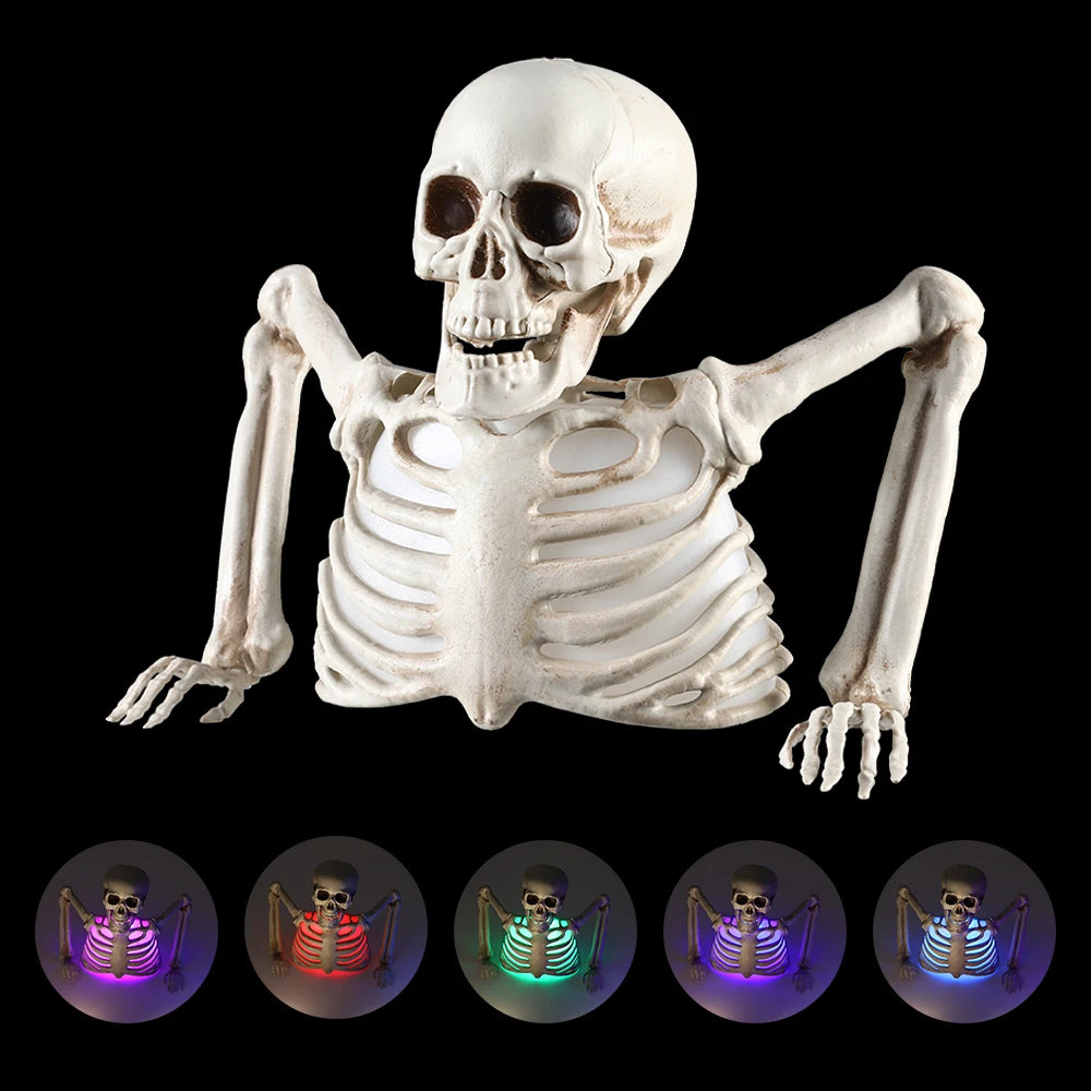 Halloween Decorations - Glowing Skull Skeleton