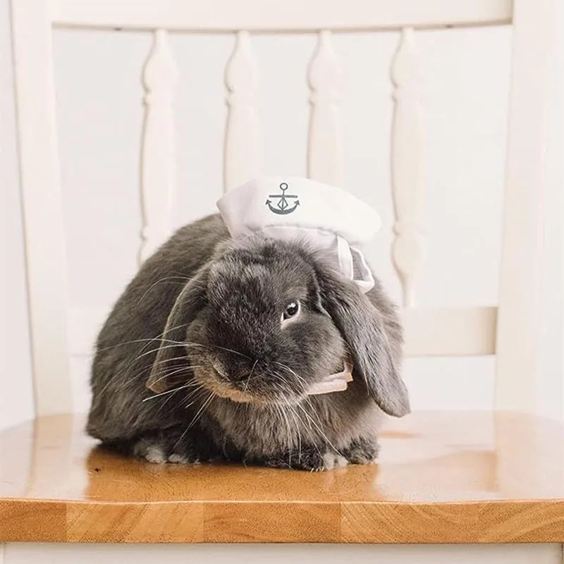 Funny Pet Cat Costumes Small Dog *SHIP FROM UK *