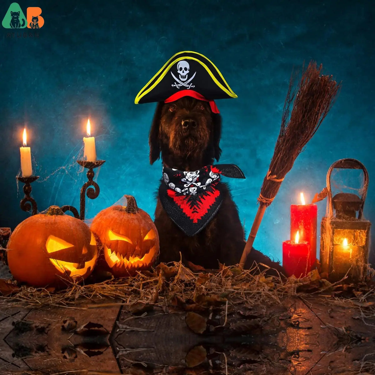 Pirate Hat with Pirate Skull Bandana Dog Cat