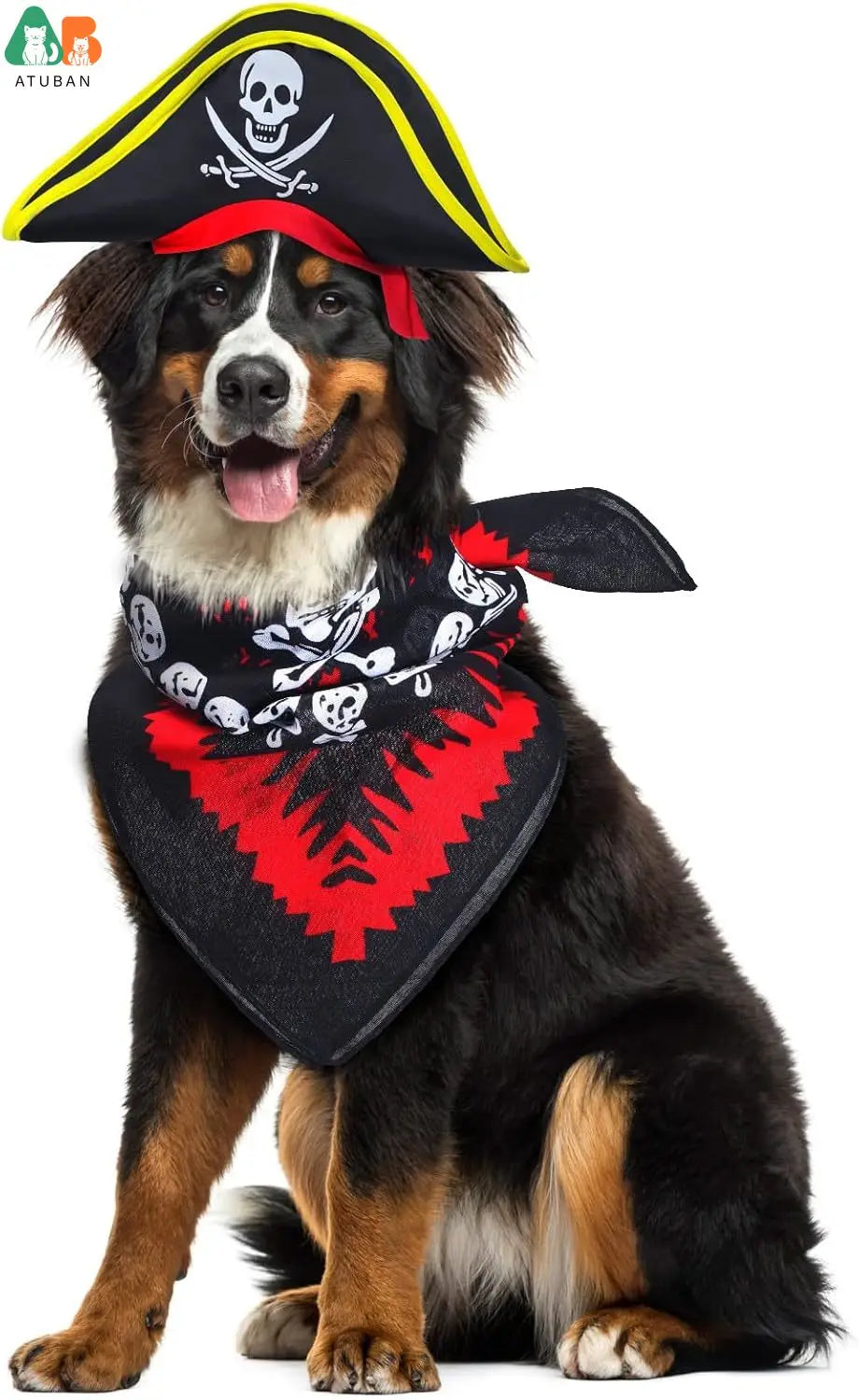 Pirate Hat with Pirate Skull Bandana Dog Cat
